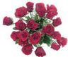 les fleures
